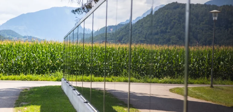 Anwendungsbeispiel Photovoltaik Zaun mit bifacialen Modulen (c) Sonnenkraft