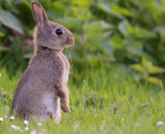 Vivatro Oster-Öffnungszeiten