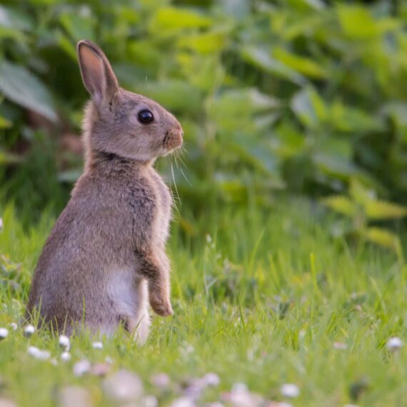 Vivatro Oster-Öffnungszeiten