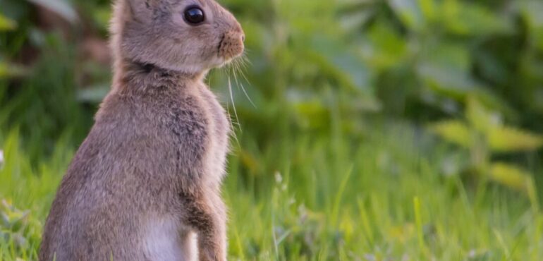 Vivatro Oster-Öffnungszeiten