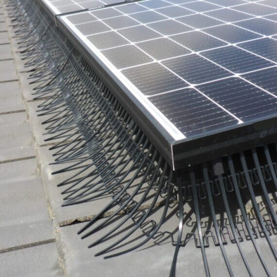 Vogelschutzvorrichtung für PV Anlagen