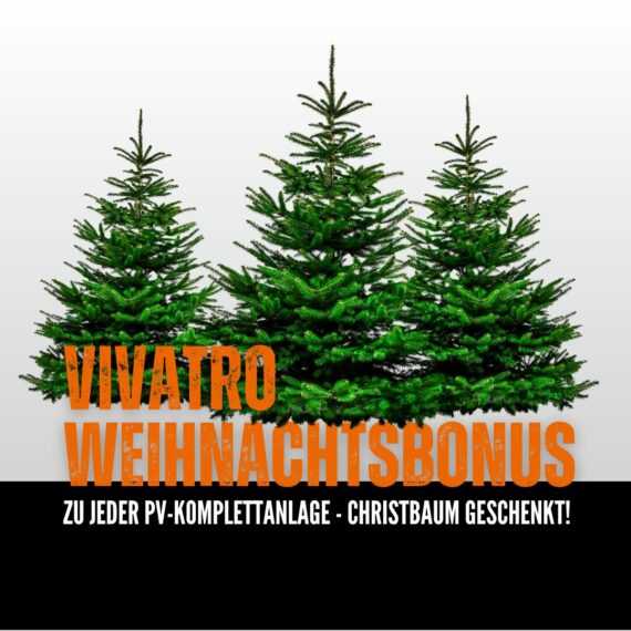 Vivatro Weihnachtsaktion 2025